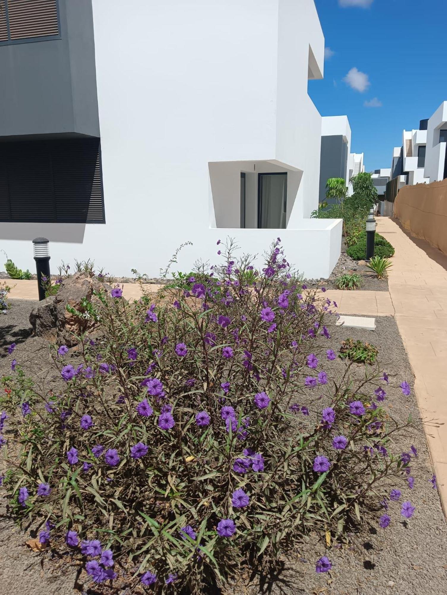 Aulaga Lägenhet Villaverde  Exteriör bild